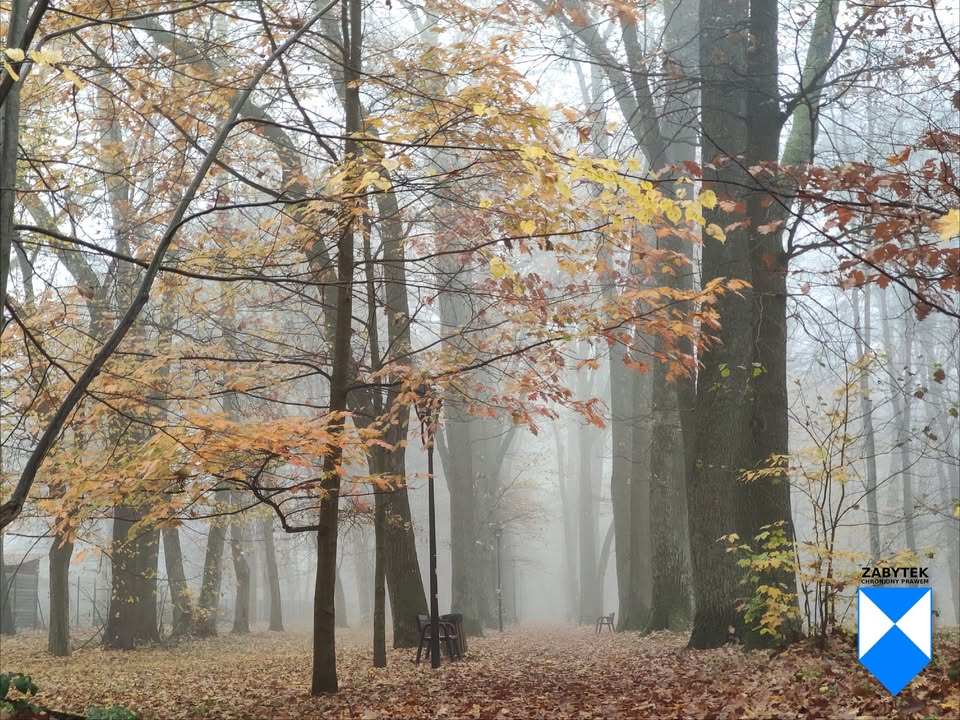 Skąpany we mgle park środowiskowy w Zwierzyńcu.