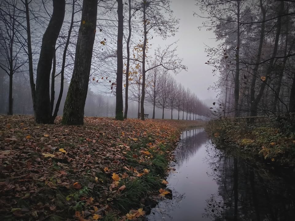 Metryka Zwierzyńca cz. 7