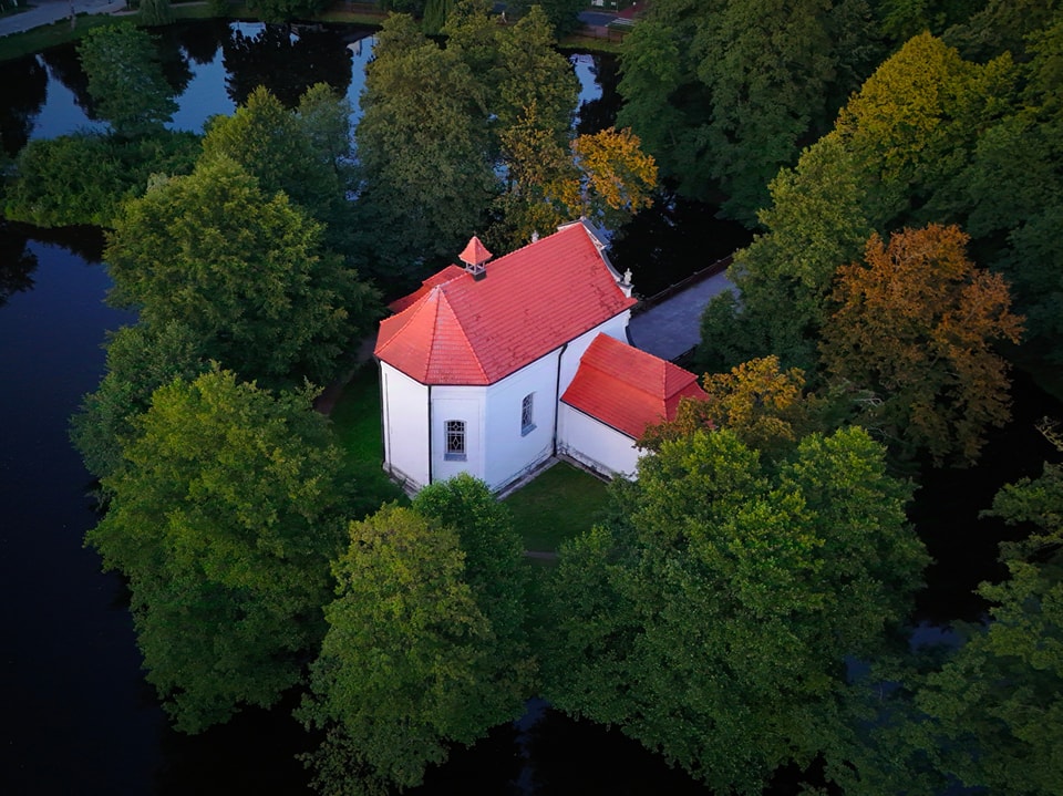 To element założenia willowego w Zwierzyńcu